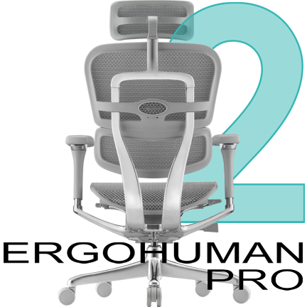 Компьютерное кресло ERGOHUMAN 2 LUXURY