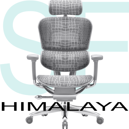 Компьютерное кресло Comfort Seating ERGOHUMAN SE HIMALAYA