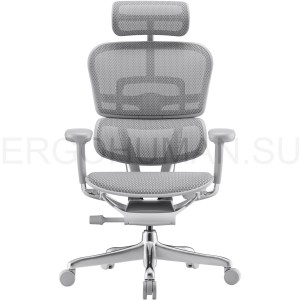 Ergohuman 2 ST Space Grey сетчатое компьютерное кресло