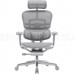 Эргономичное сетчатое кресло Ergohuman Elite 2 ST Space Grey