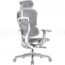 ERGOHUMAN ELITE 2 ST SPACE GREY сетчатое кресло