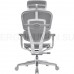 Эргономичное сетчатое кресло Ergohuman Elite 2 ST Space Grey