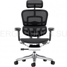 ERGOHUMAN SE ST Black сетчатое кресло профессиональное