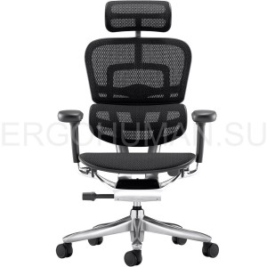 Ergohuman 2 SE ST Black сетчатое компьютерное кресло профессиональное