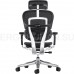 Эргономичное, профессиональное, сетчатое кресло Ergohuman SE ST Black Edition (EAC)