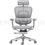 Ergohuman 2 SE ST Grey сетчатое компьютерное кресло профессиональное