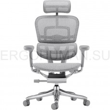 ERGOHUMAN SE ST Space Grey сетчатое кресло профессиональное