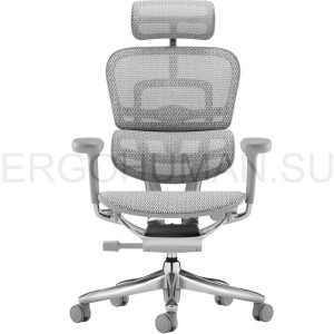 Ergohuman 2 SE ST Grey сетчатое компьютерное кресло профессиональное