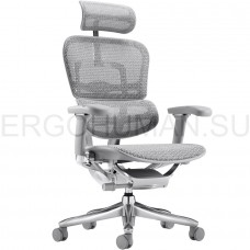 ERGOHUMAN SE ST Space Grey сетчатое кресло профессиональное