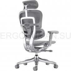 ERGOHUMAN SE ST Space Grey сетчатое кресло профессиональное