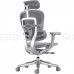 Эргономичное, профессиональное, сетчатое кресло Ergohuman SE ST Space Grey (EAC)