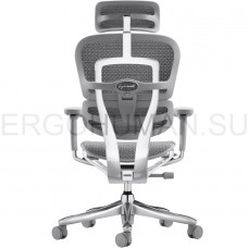 ERGOHUMAN SE ST Space Grey сетчатое кресло профессиональное