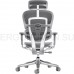 Эргономичное, профессиональное, сетчатое кресло Ergohuman SE ST Space Grey (EAC)