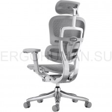 ERGOHUMAN SE ST Space Grey сетчатое кресло профессиональное
