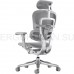 Эргономичное, профессиональное, сетчатое кресло Ergohuman SE ST Space Grey (EAC)