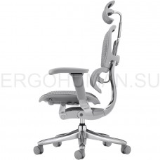 ERGOHUMAN SE ST Space Grey сетчатое кресло профессиональное