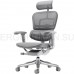 Эргономичное, профессиональное, сетчатое кресло Ergohuman SE ST Space Grey (EAC)