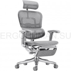 ERGOHUMAN SE ST Legrest Space Grey кресло с подножкой профессиональное