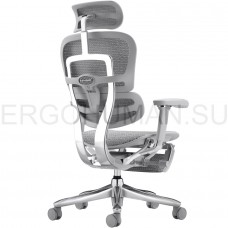 ERGOHUMAN SE ST Legrest Space Grey кресло с подножкой профессиональное