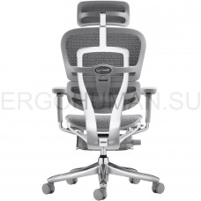 ERGOHUMAN SE ST Legrest Space Grey кресло с подножкой профессиональное