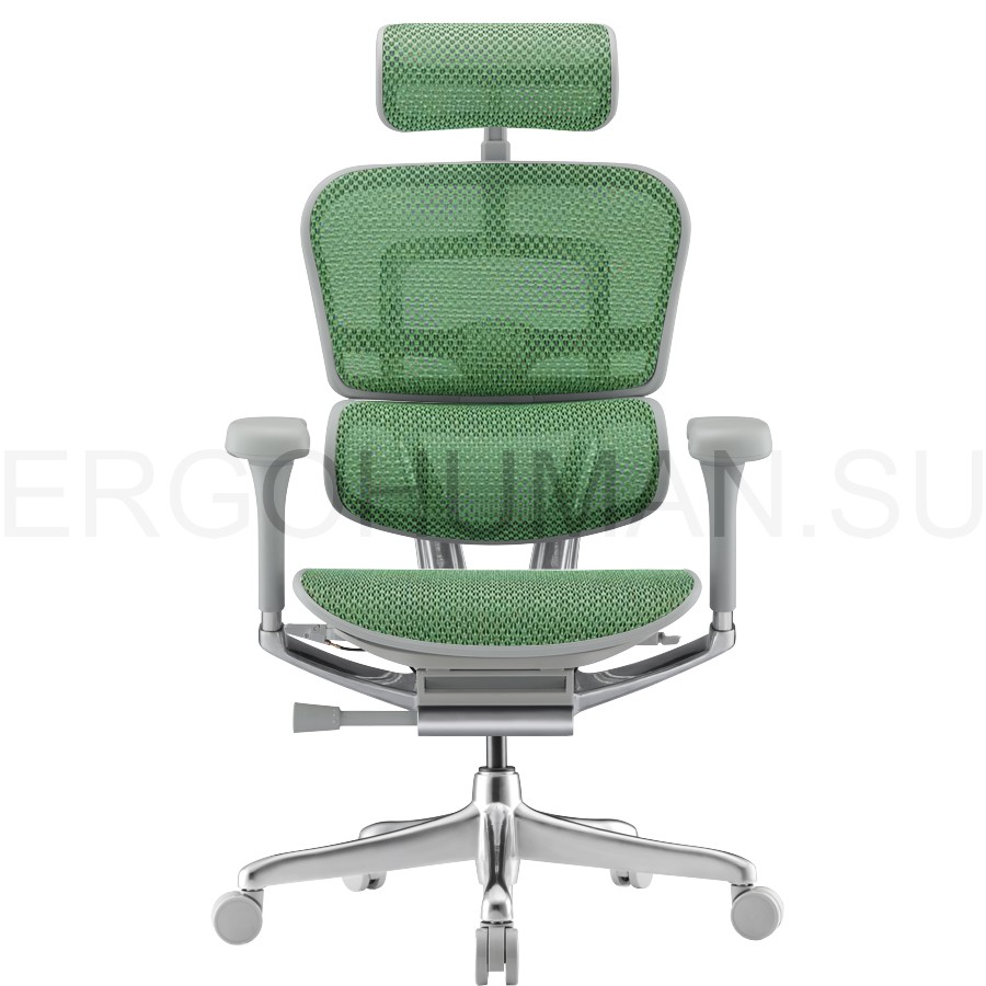 Эргономичное сетчатое кресло реклайнер ERGOHUMAN Elite 2 Legrest с подставкой для ног