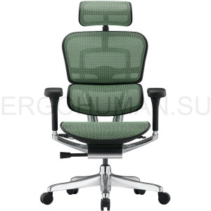 Ergohuman Elite 2 Black/Green сетчатое кресло