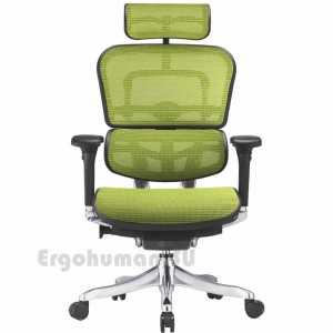 ERGOHUMAN Plus Elite Old сетчатое кресло