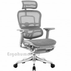 ERGOHUMAN Plus Luxury Mesh LegRest сетчатое кресло-реклайнер