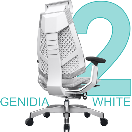 GENIDIA White 5D